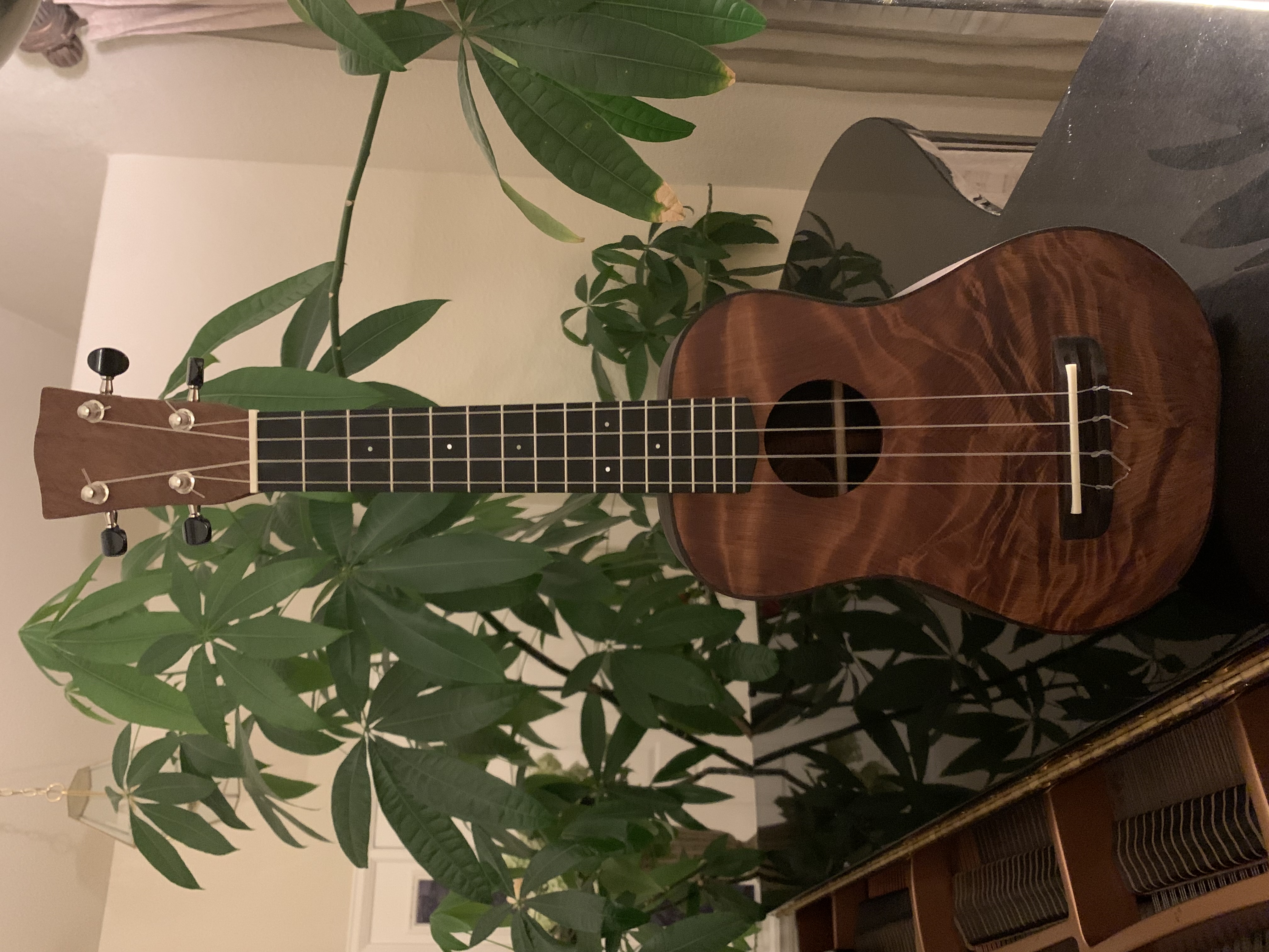 completed ukulele