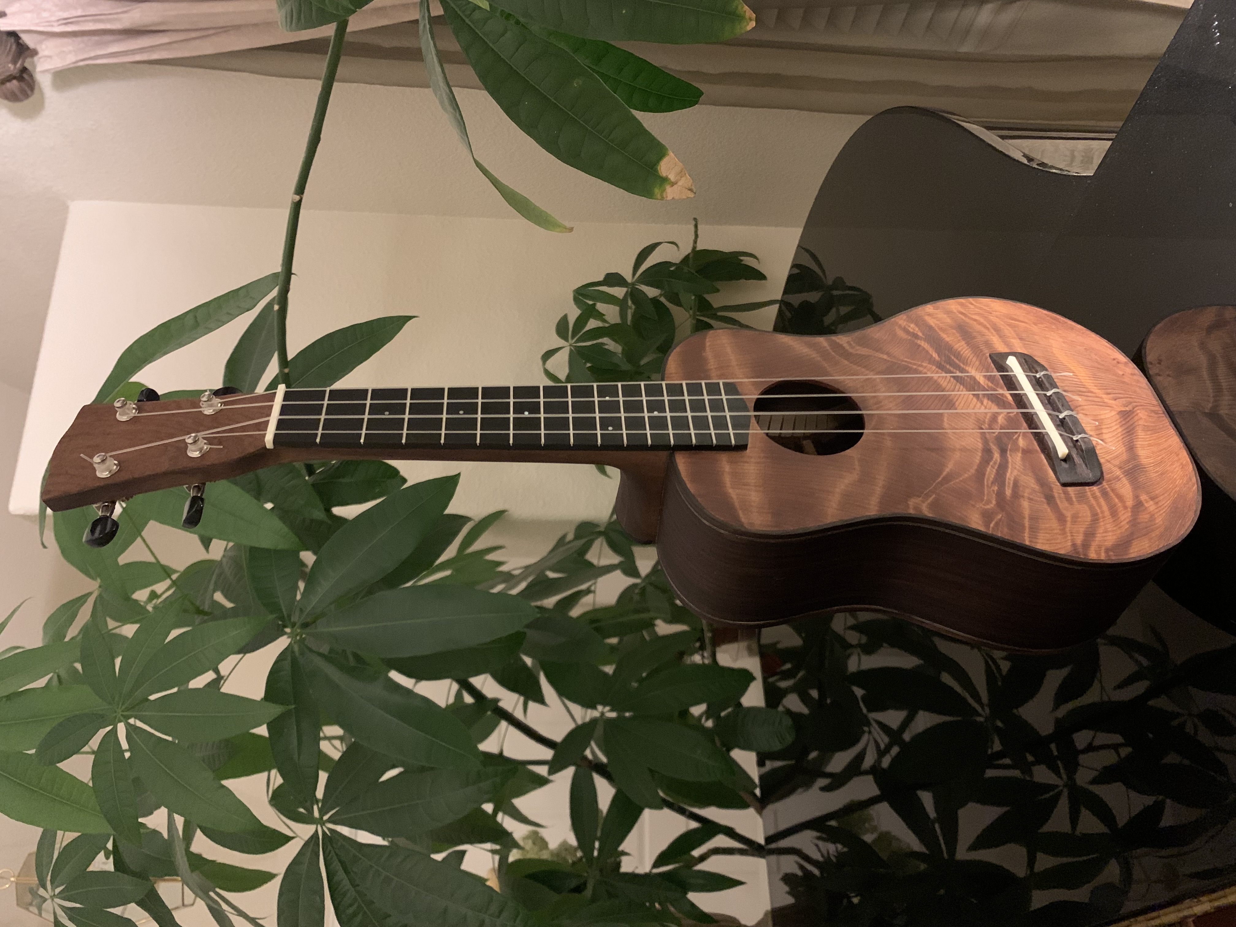 completed ukulele